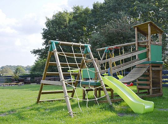 Sonnige Eichen in Dębina