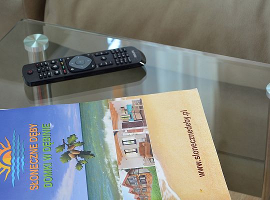 Sonnige Eichen in Dębina