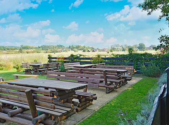 Sonnige Eichen [Słoneczne Dęby] in Dębina