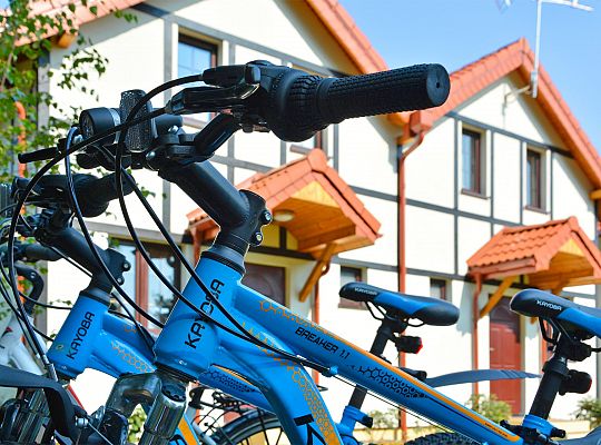 Sonnige Eichen  in Dębina