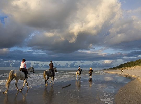 Reiten entlang der Küste