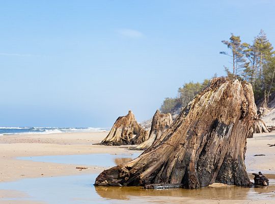 Strand an der Ostsee